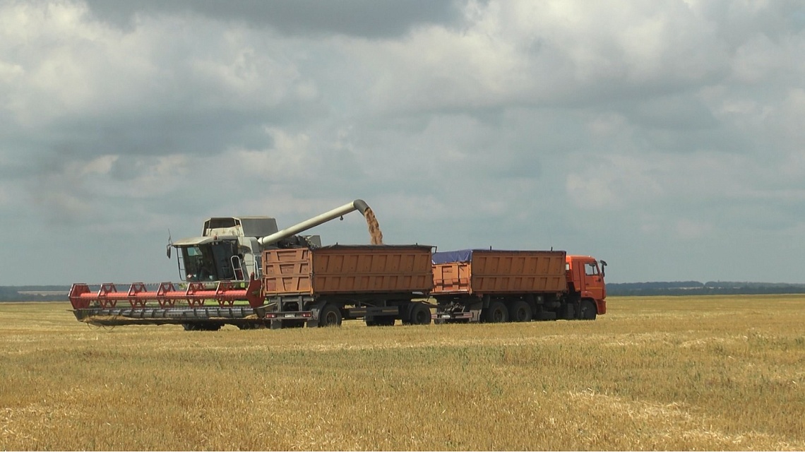 В Каменском районе убирают урожай