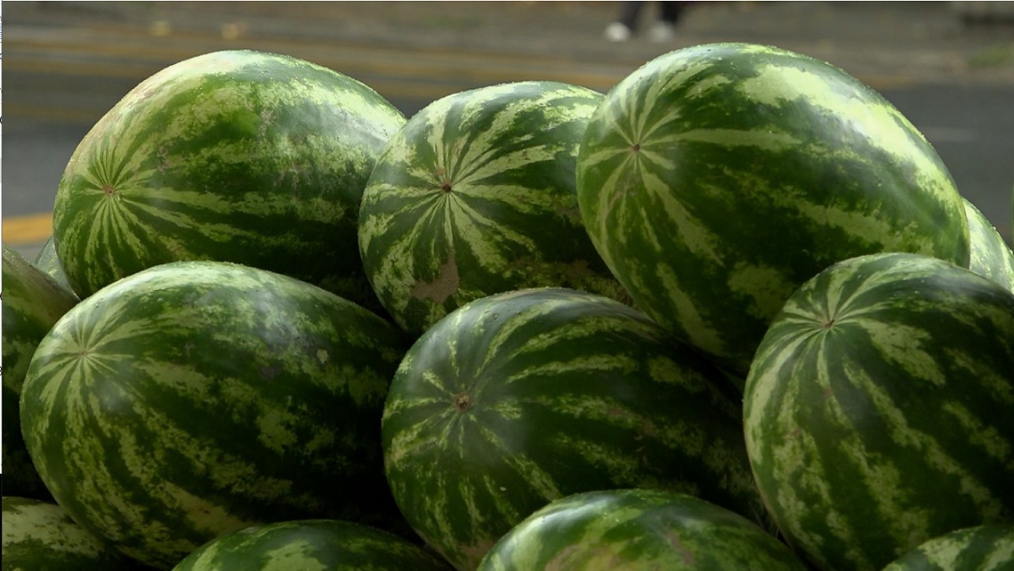 Пензенцам рассказали, когда и где покупать арбузы