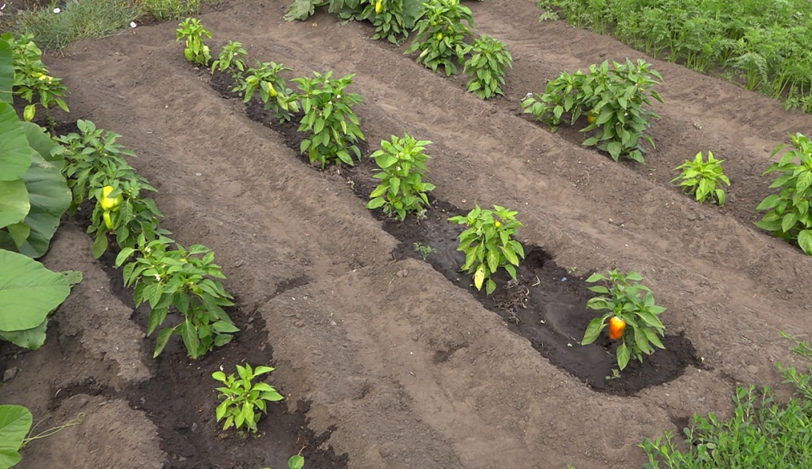В поселке Евлашево Кузнецкого района введена в эксплуатацию новая скважина