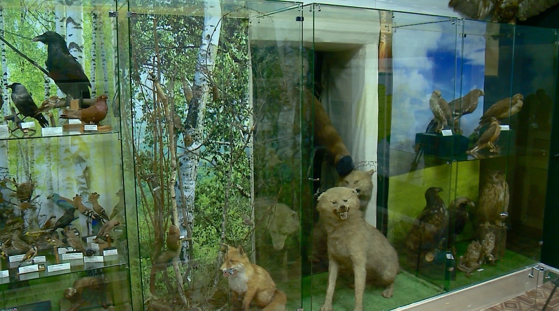 На оснащение историко-краеведческого музея в Сердобске в рамках нацпроекта «Культура» направили 1 млн 600 тыс. рублей