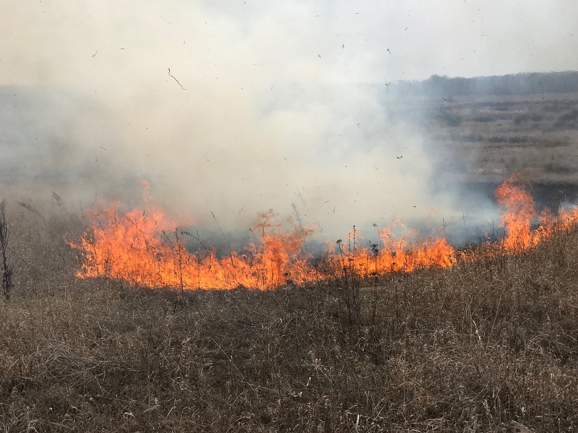 В Пензенской области ввели особый противопожарный режим
