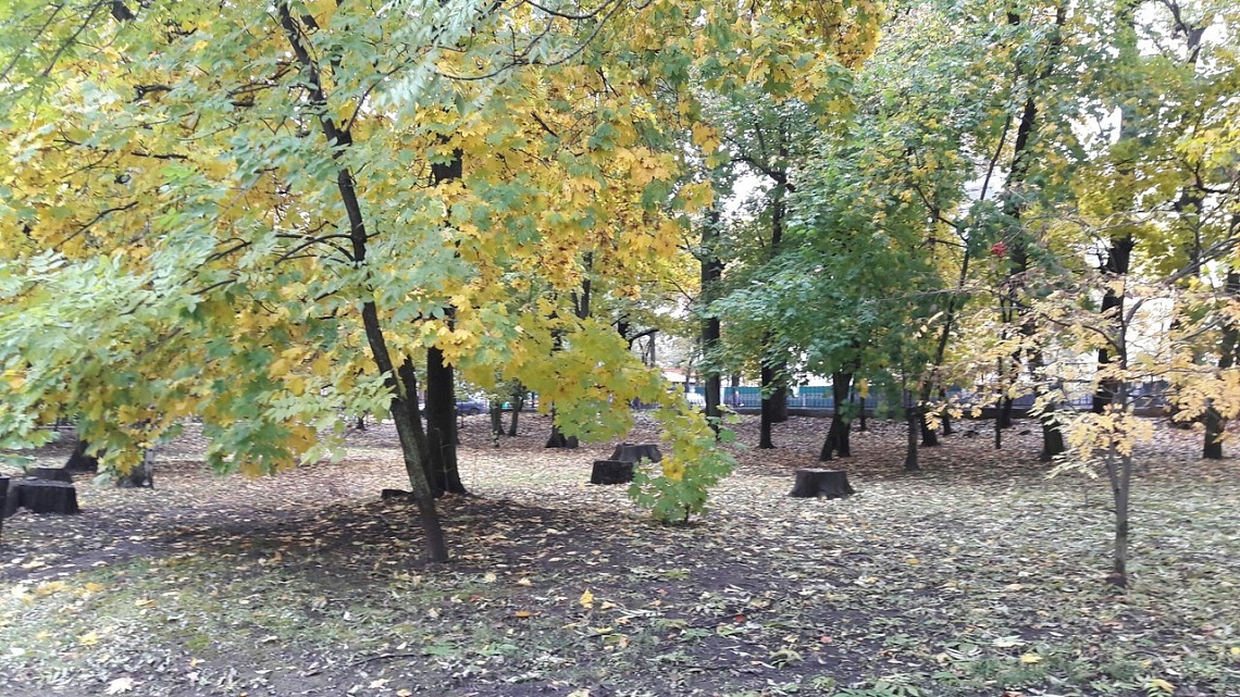 В Пензенской области собаку пытались уморить, привязав к дереву