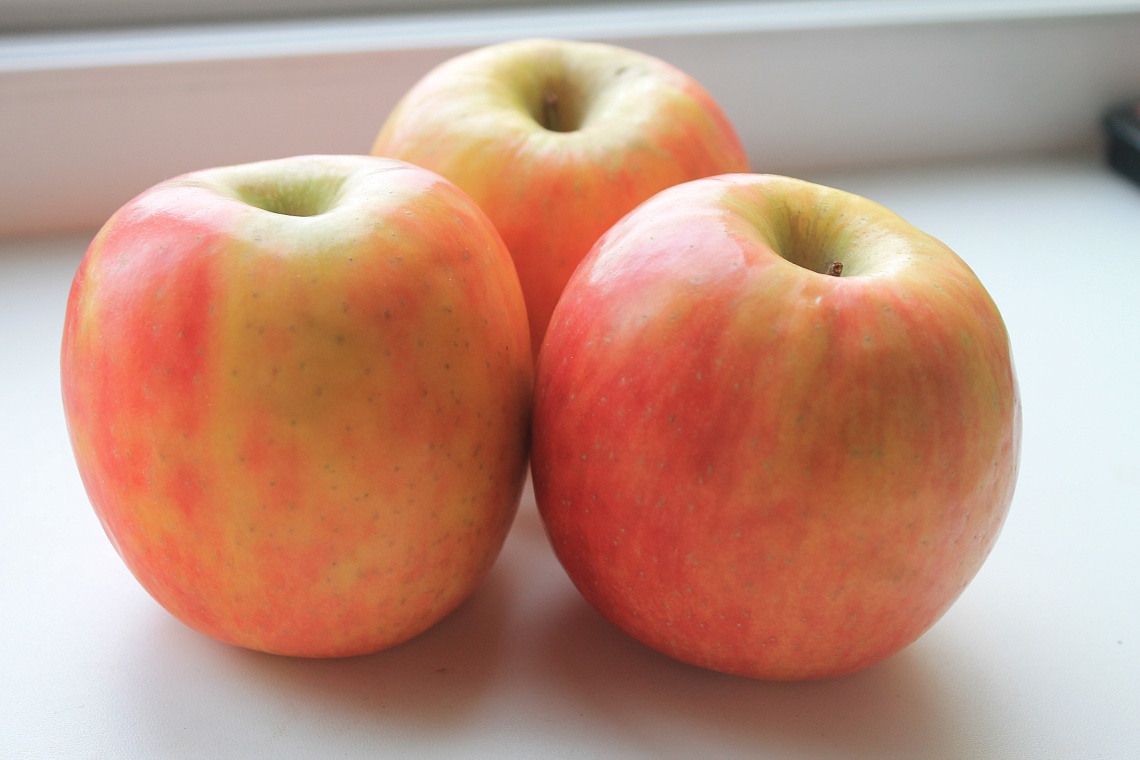 В Пензе на площади Ленина пройдет осенняя ярмарка