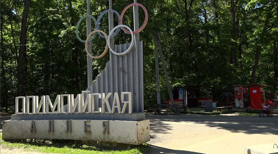 В Пензе проведут акарицидную обработку Олимпийской аллеи