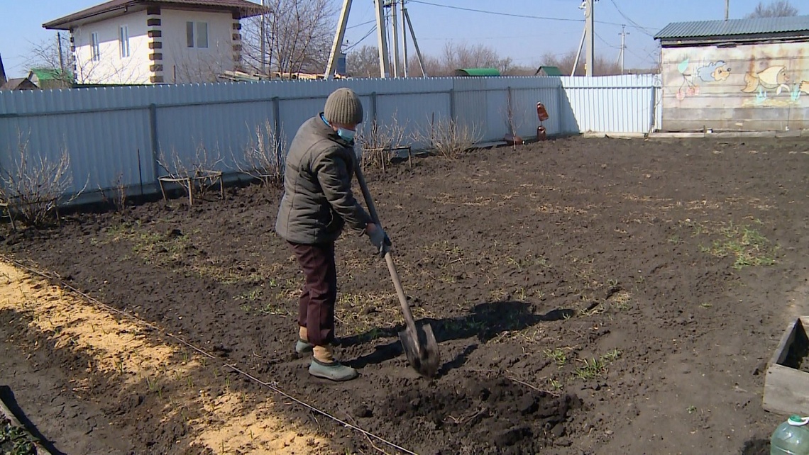 В Пензе завершился дачный сезон