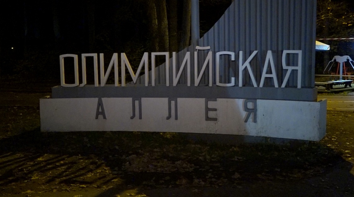 В Пензе на Олимпийской аллее специалисты занимаются акарицидной обработкой территории