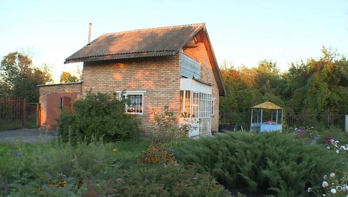 Пензенцев предупреждают об опасности заражения мышиной лихорадкой осенью