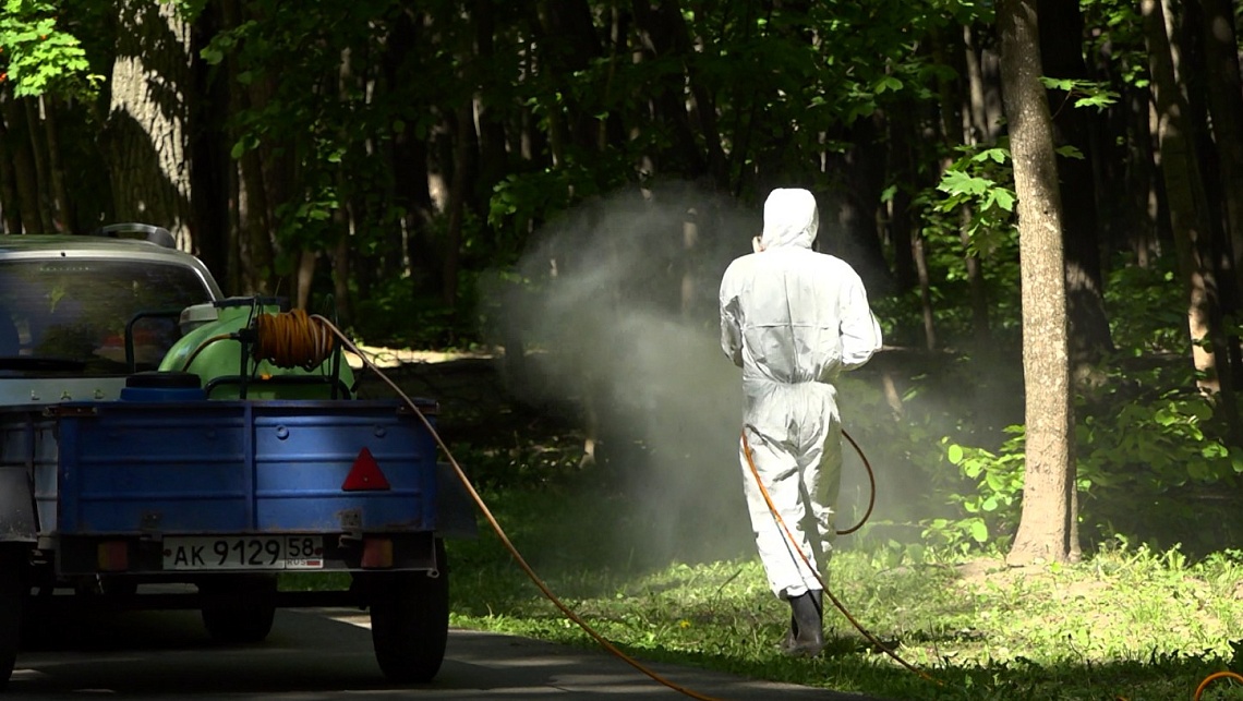 В Пензе от клещей обработали Олимпийскую аллею