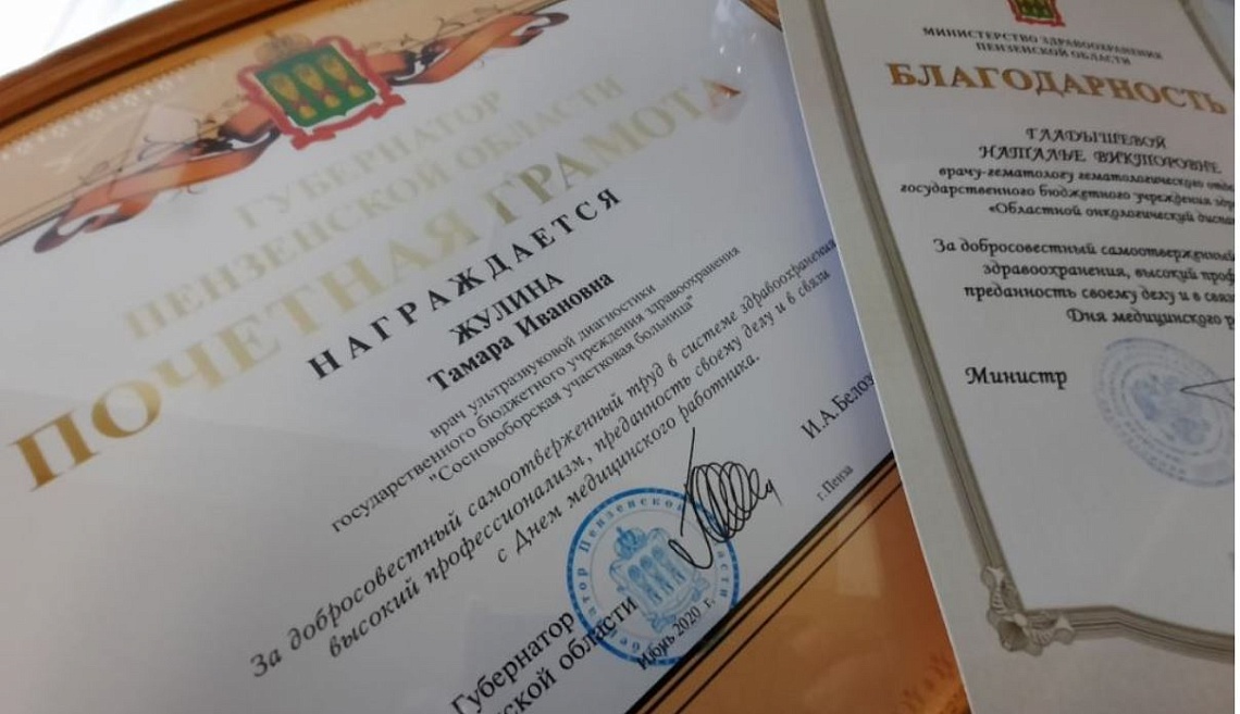 В Пензенской области наградили более 1600 медработников