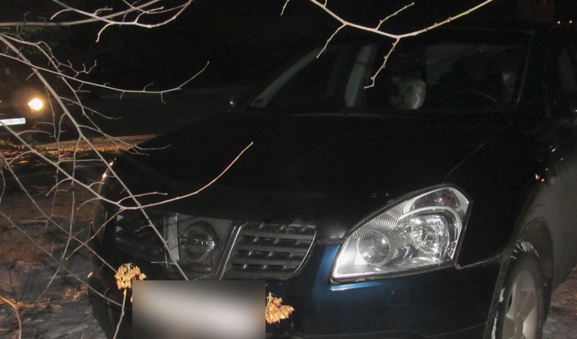 В Никольском районе полицейские задержали мужчину, подозреваемого в краже автомобиля