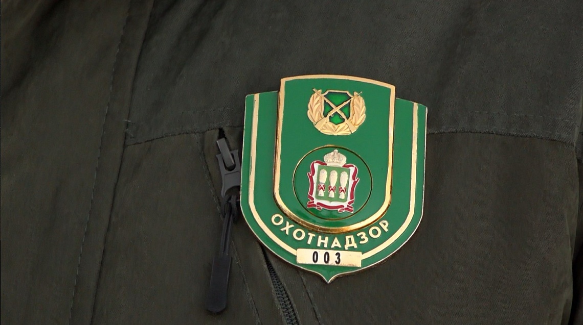 Из Заречного вывезли самца лося