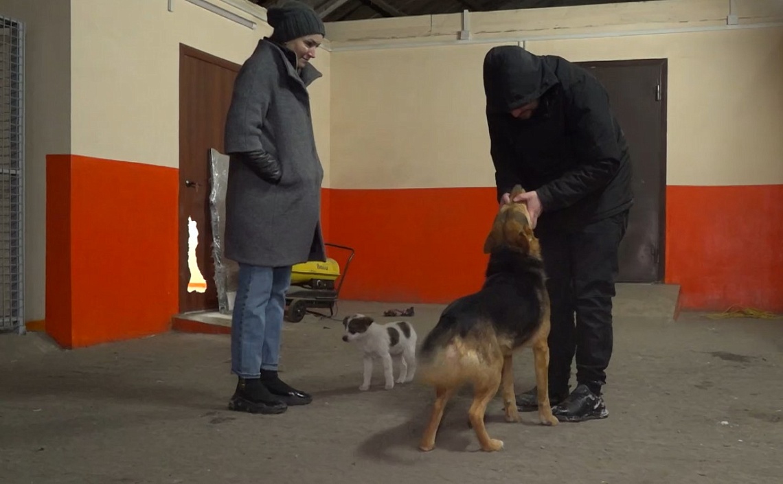 В Нижнеломовском районе начал работать приют для бродячих собак