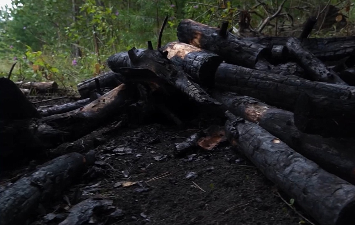 В лесу Белинского района мужчина устроил поджог