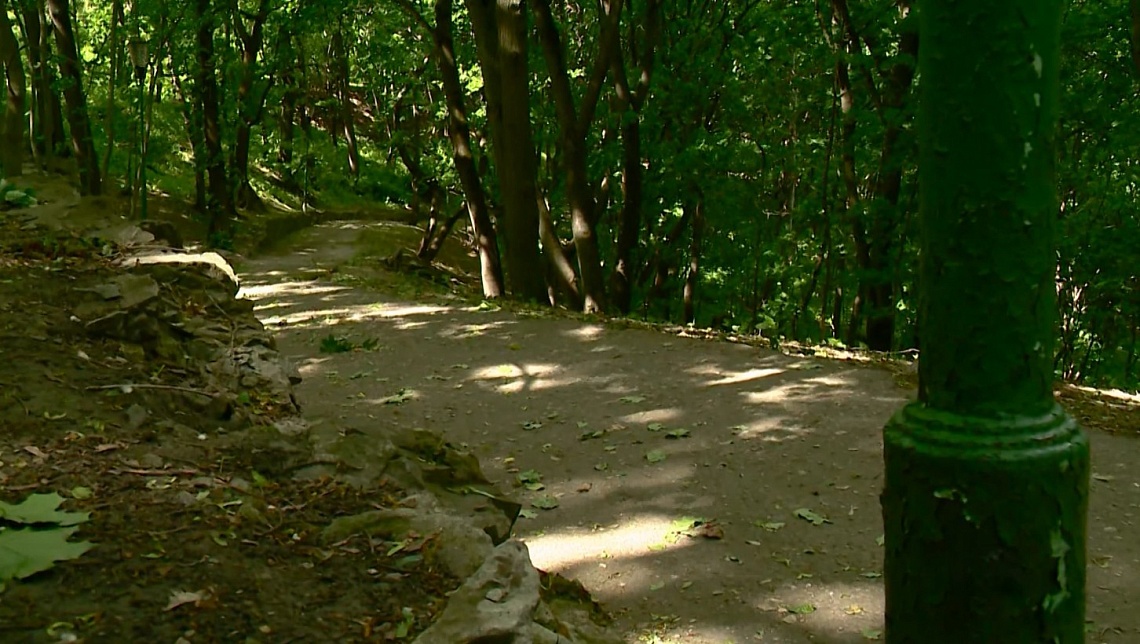 В Пензе приведут в порядок Тропу здоровья