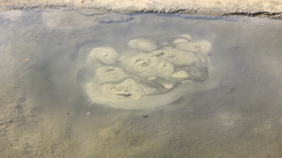 В Пензе сотрудники администрации Первомайского района провели рейд по местам проведения коммунальных работ