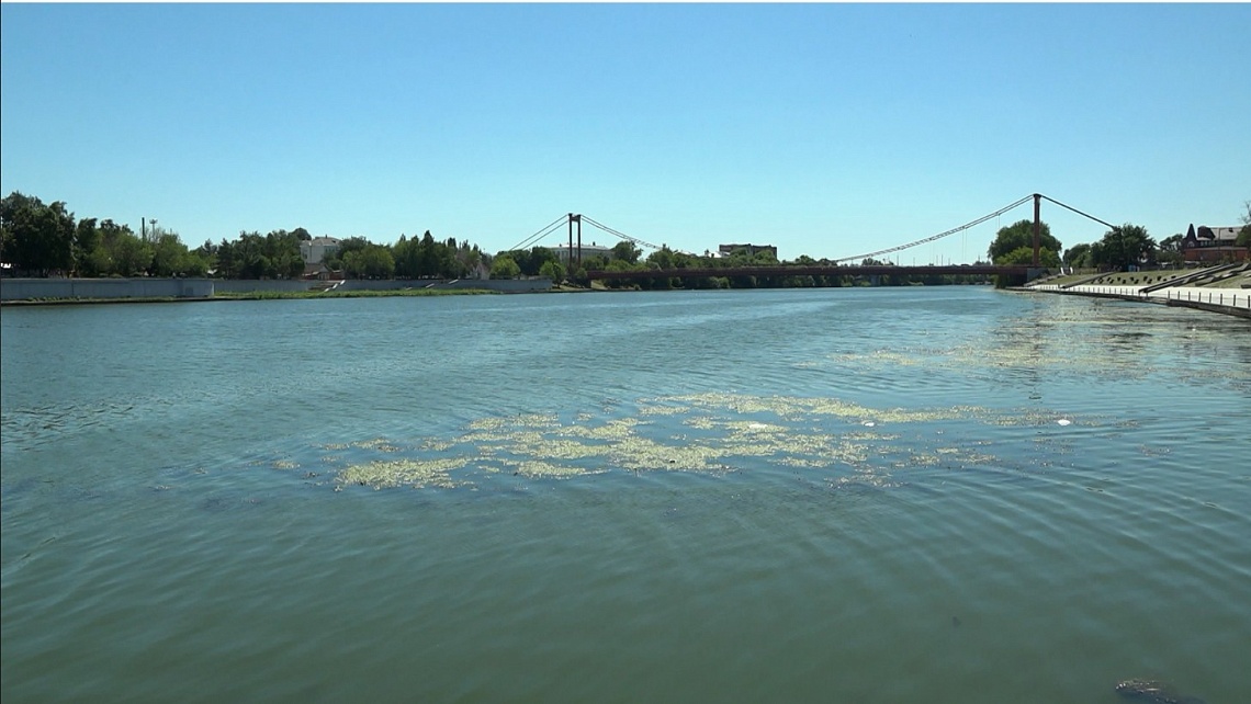 Пензенцам рассказали, как избежать перегрева организма в жару