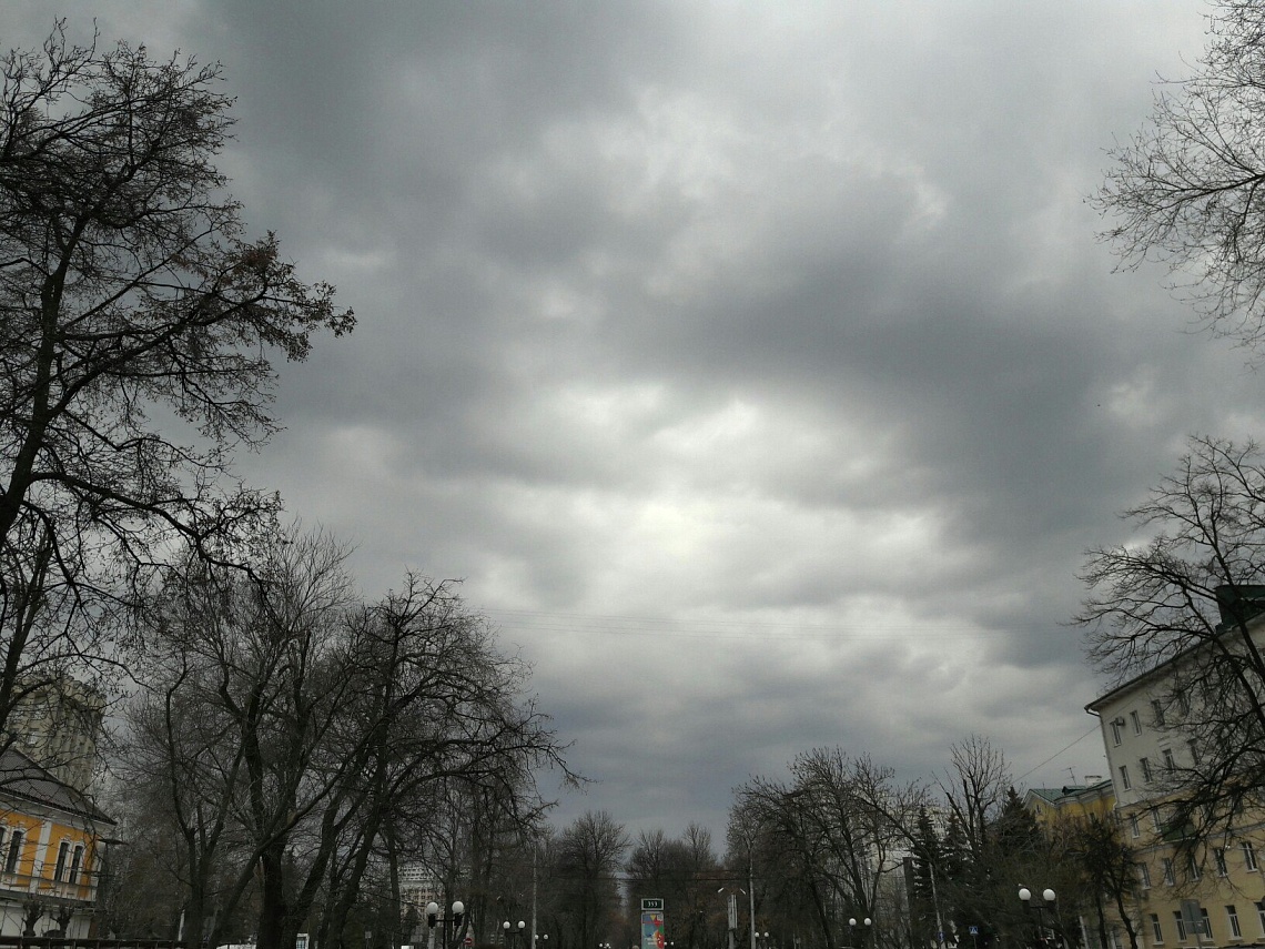 В Пензенской области прогнозируют дождь и похолодание