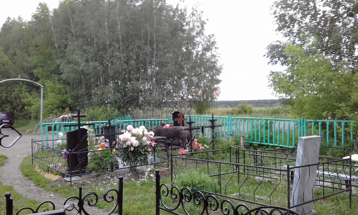По земетчинскому кладбищу разгуливает хрюша в поисках сладостей