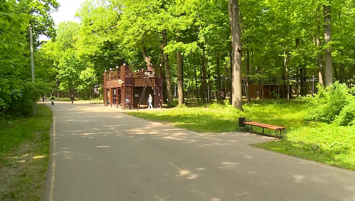 В Пензе Олимпийскую аллею закроют для посещения 5 и 6 октября