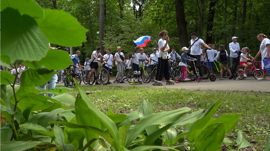 Пензенцы отметили День Государственного флага России