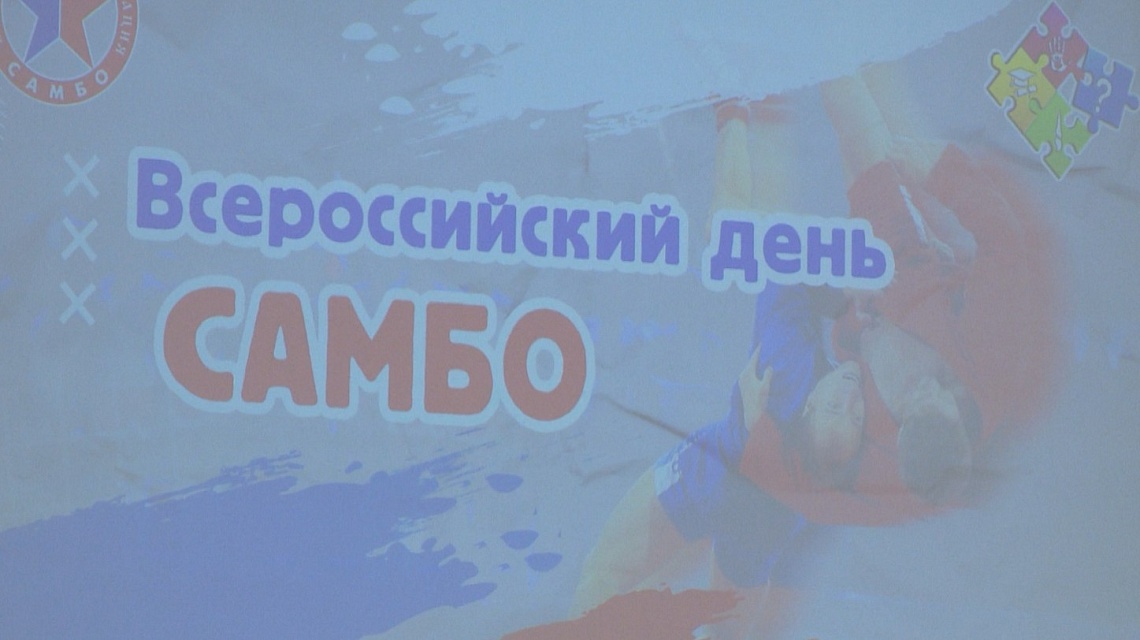 В Пензе прошел фестиваль самбо