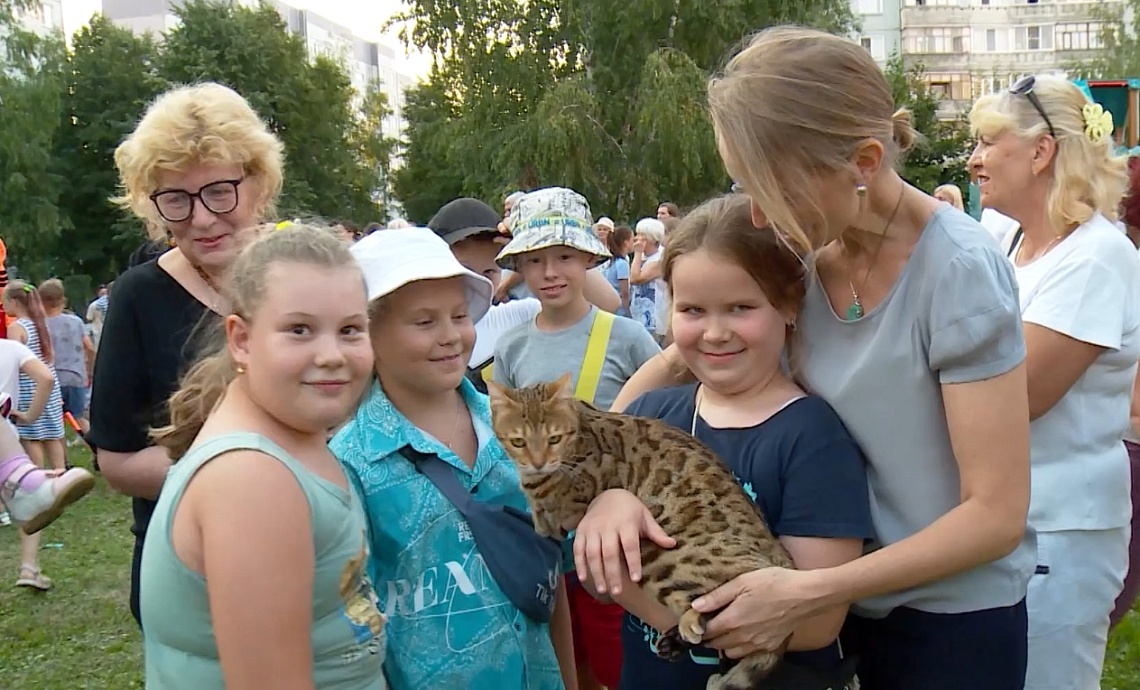 В одном из дворов на улице Лядова в рамках проекта «Лето в городе» состоялся праздник двора