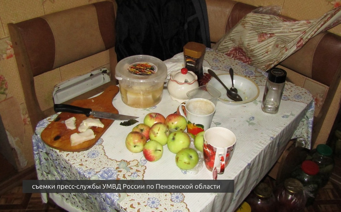 За удар ножом жительнице Мокшана грозит лишение свободы