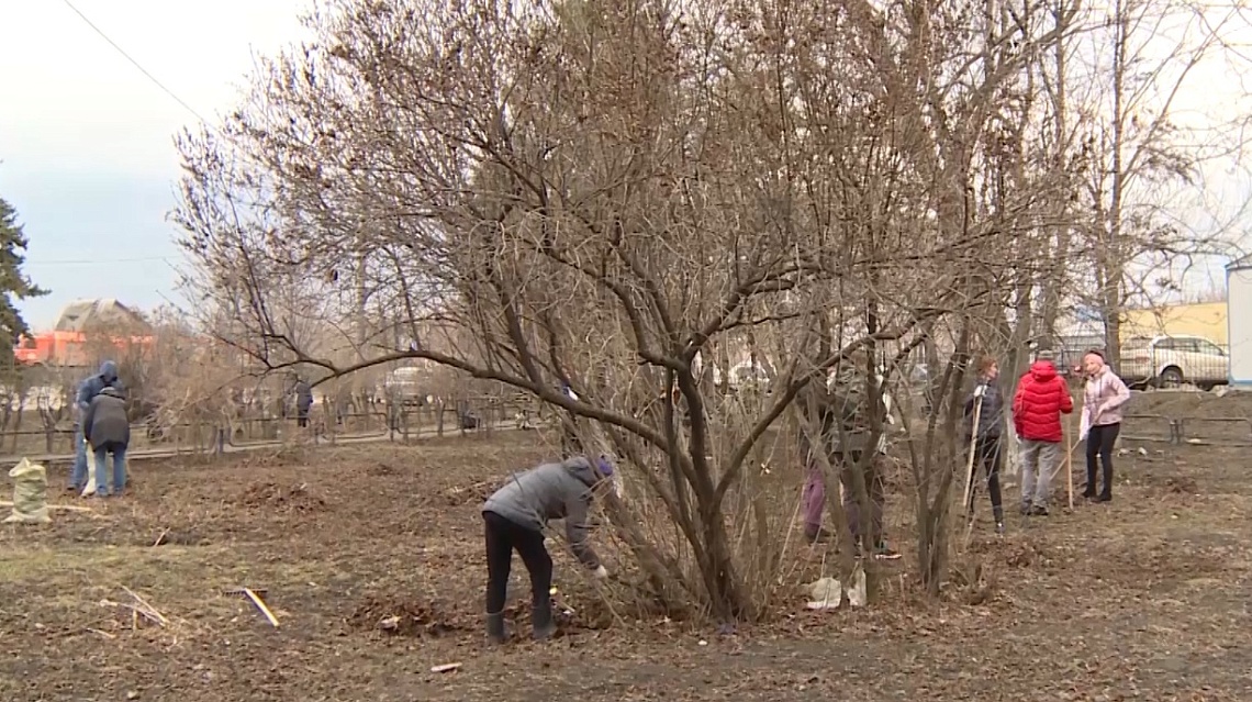 Пензенские чиновники выйдут на уборку городских улиц в выходные