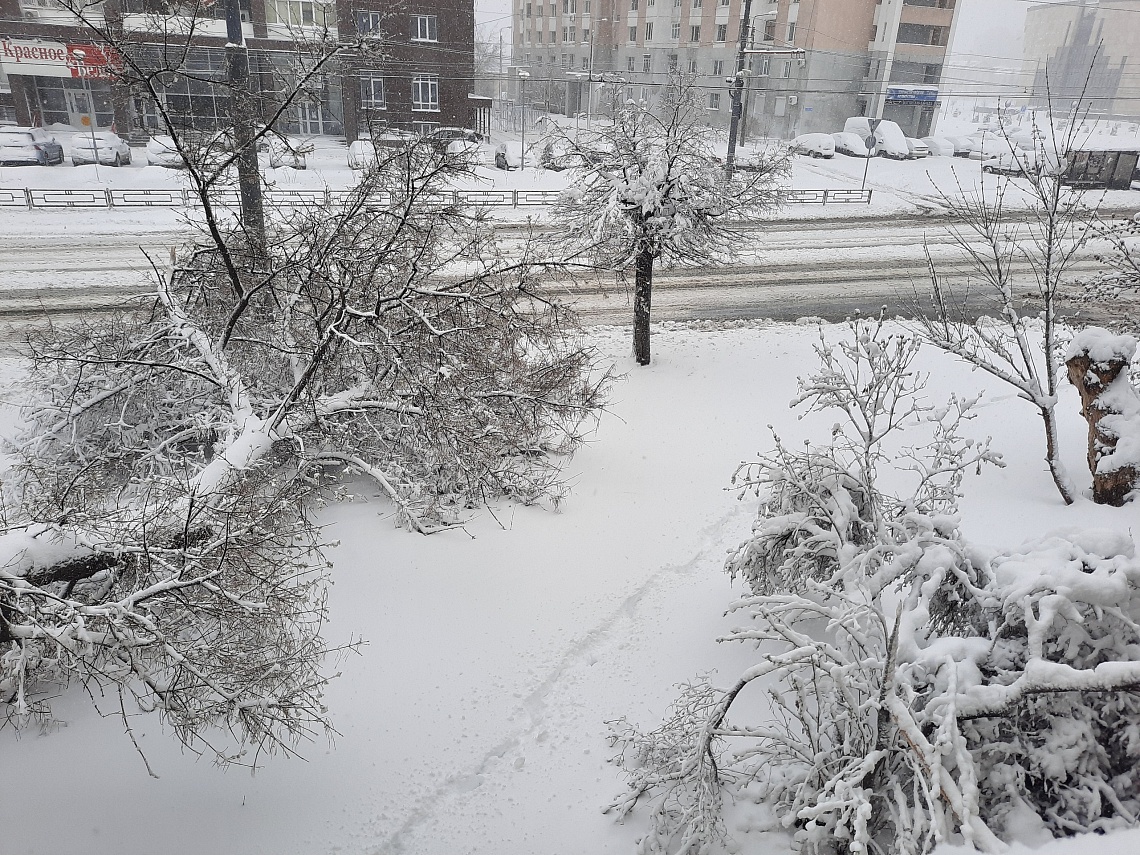 Губернатор поручил подключить к уборке Пензы от снега предприятия и бизнес