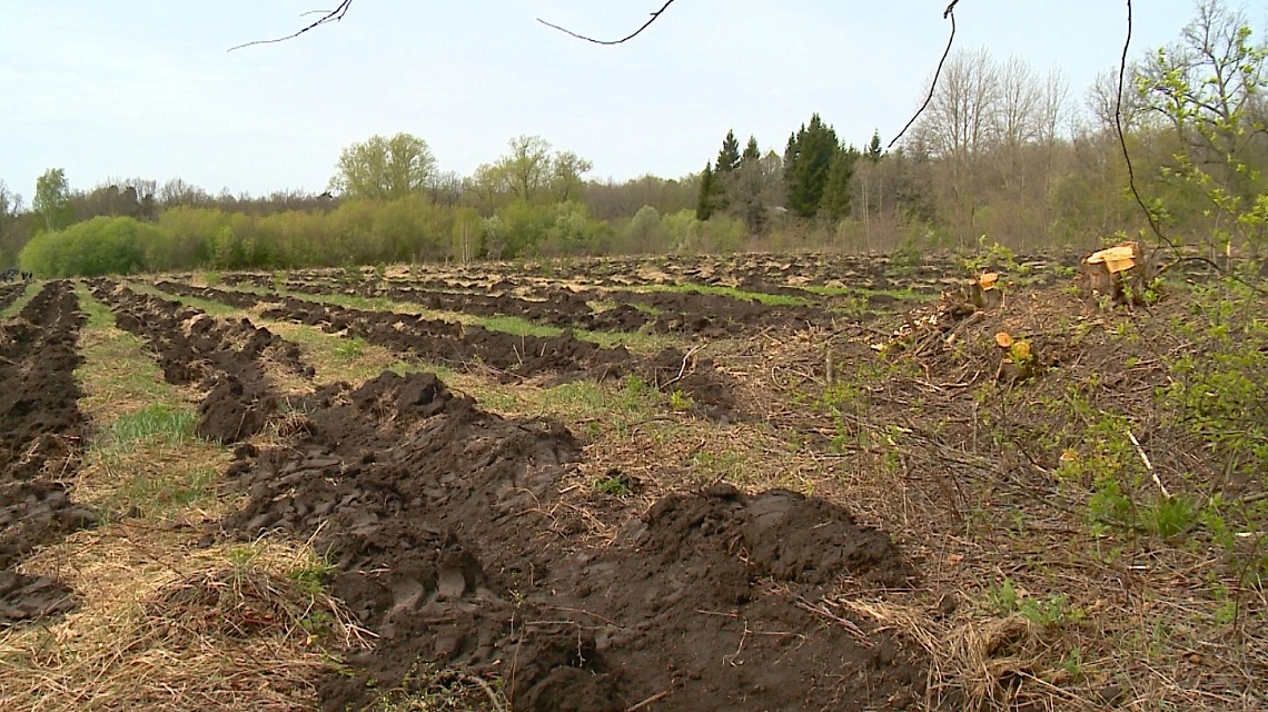 В Мокшанском районе прошла акция «Сад памяти»