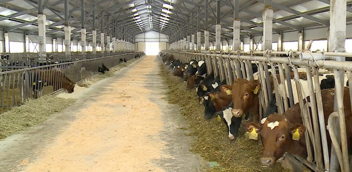 Губернатор Пензенской области отправился с рабочим визитом в Белинский и Каменский районы