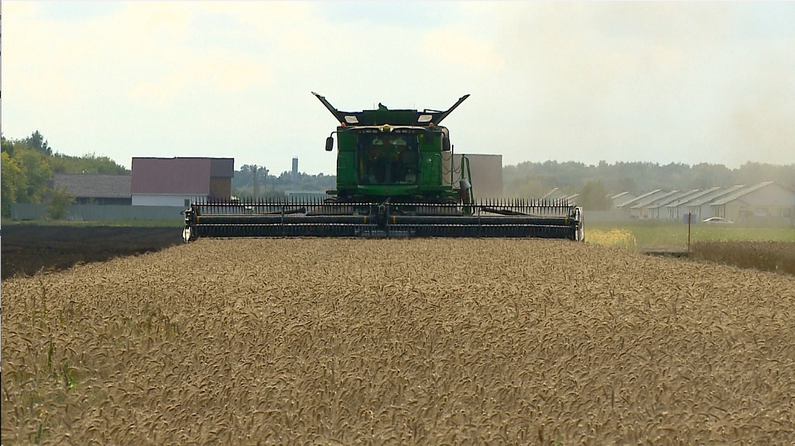В Башмаковском районе на поле «Русмолко» состоится семинар сельхозпроизводителей