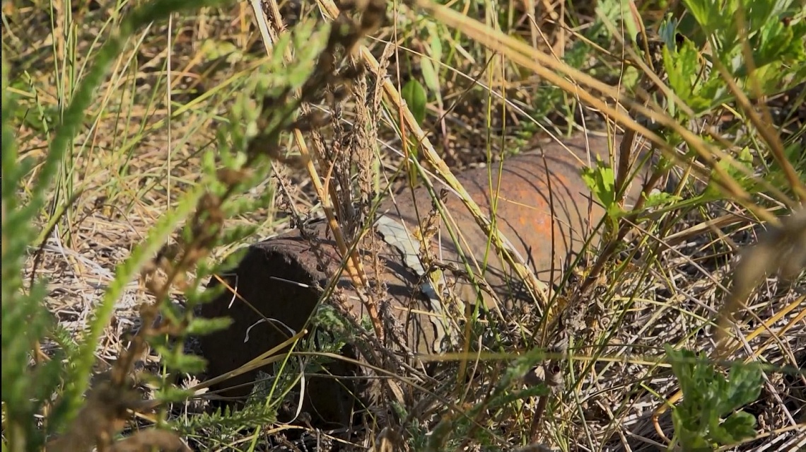 Пензенец на своем приусадебном участке обнаружил артиллерийский снаряд времен Гражданской войны