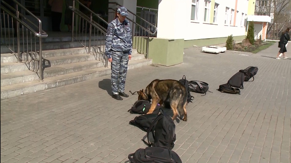 Пензенские школьники приняли участие во всероссийской акции «Чистое поколение»