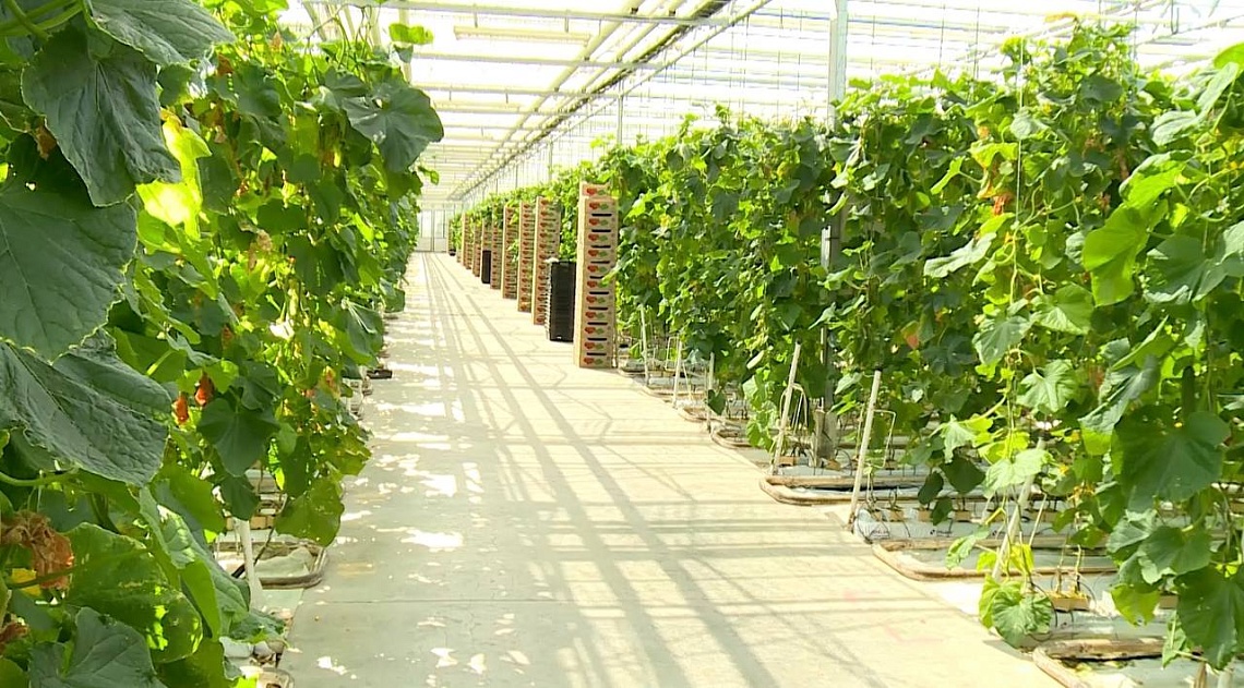 В Пензенской области определены лучшие товаропроизводители