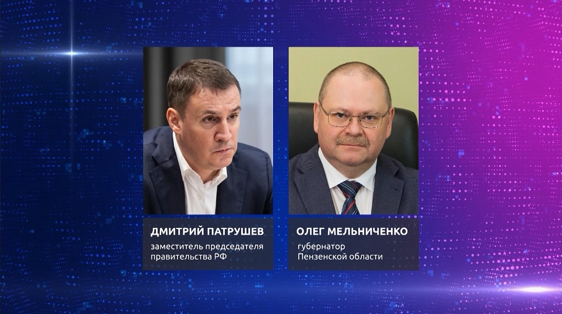 Вице-премьер правительства России и губернатор Пензенской области провели рабочую встречу
