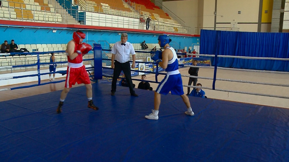 В Пензе прошли чемпионат и первенство области по боксу