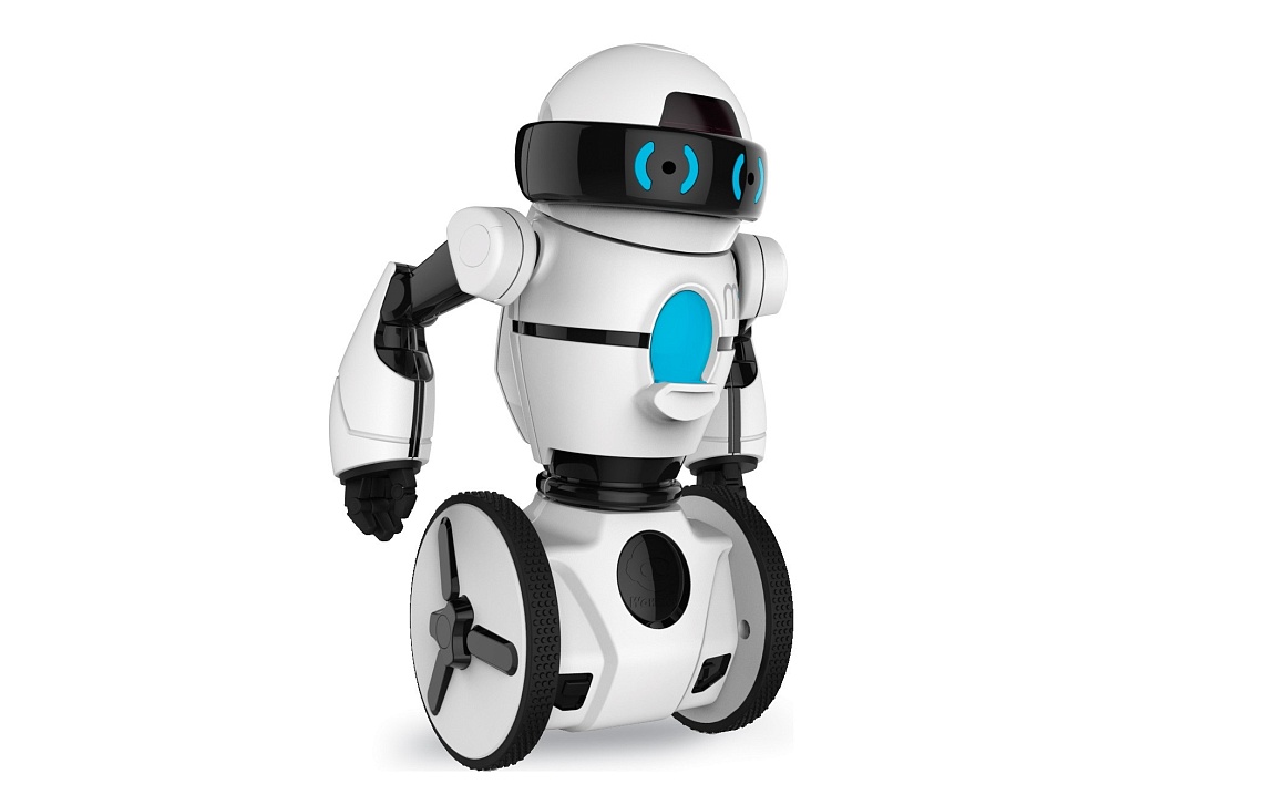 Пензенцы завоевали главный приз фестиваля «Робофест»