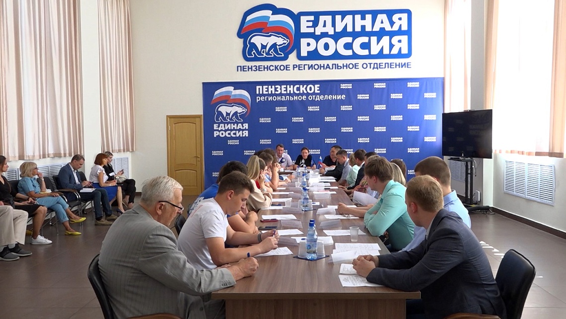Зампред Госдумы Анна Кузнецова обсудила с пензенскими общественниками проекты соцподдержки