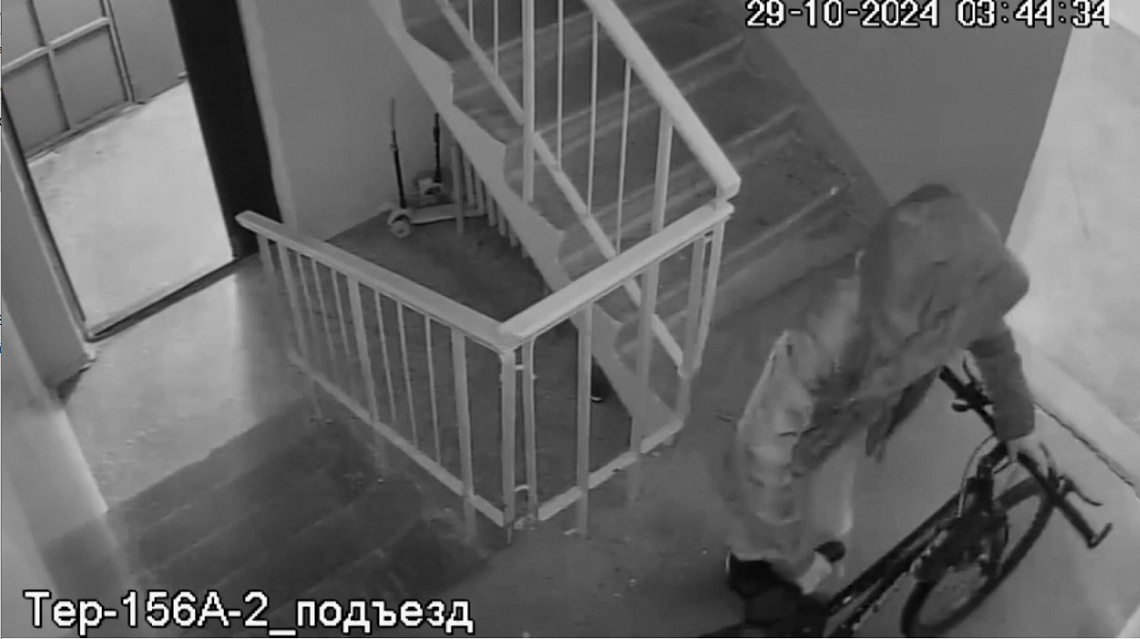 Пензячка может попасть за решетку за кражу велосипеда