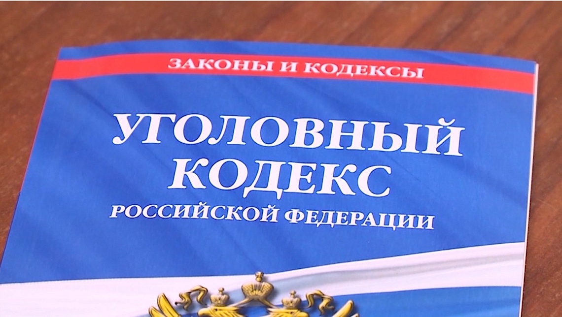 20-летнюю пензячку подозревают в 10 преступлениях