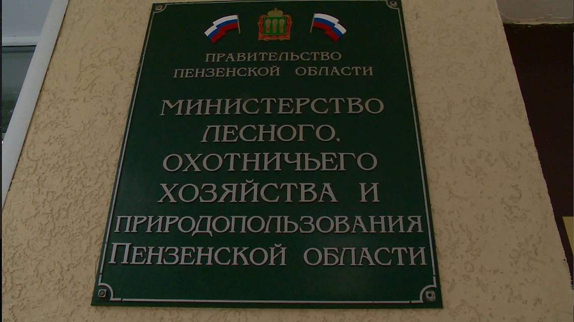 Из Заречного вывезли лосиху с двумя детенышами
