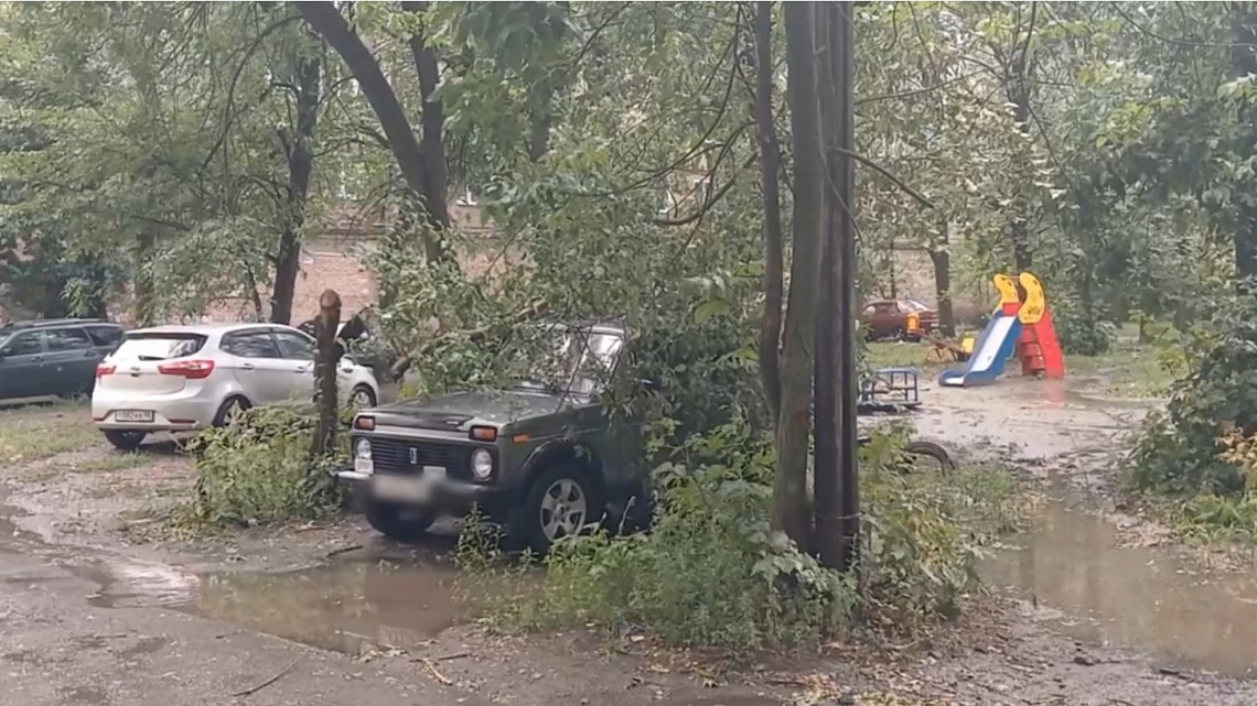 Обрушившийся на Пензу ураган повредил деревья