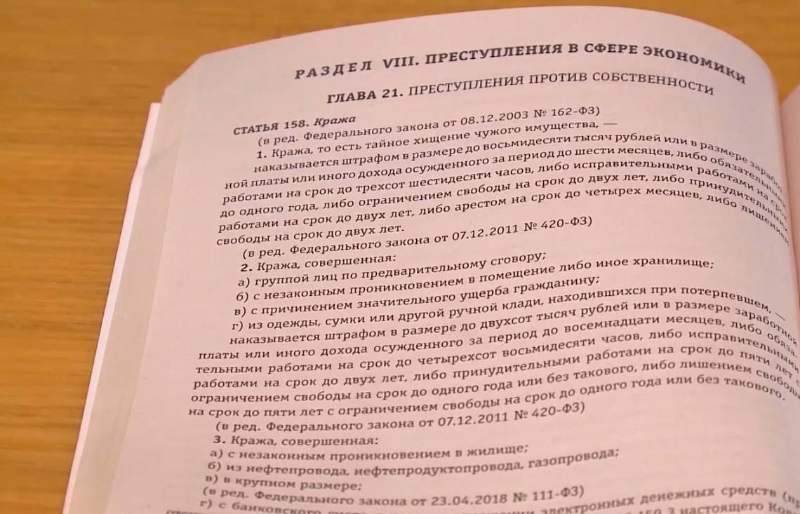 Пензенские полицейские раскрыли серию краж из торговых центров