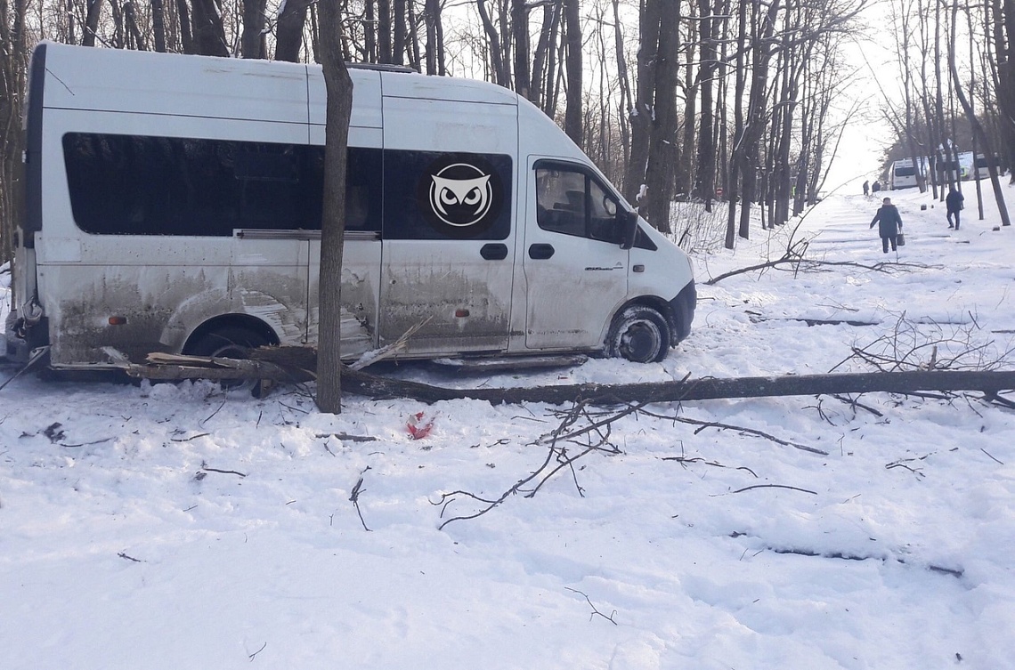 В Пензе маршрутка скатилась по лестнице в лес