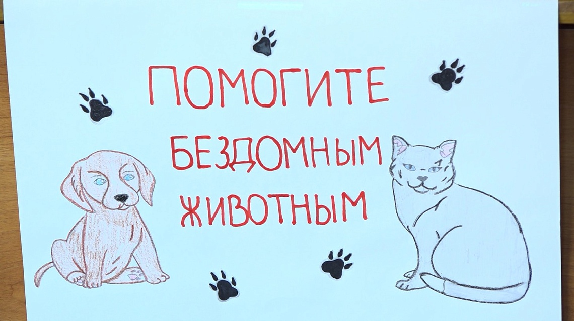 Школы Пензы присоединились к акции «Помоги бездомным животным!»