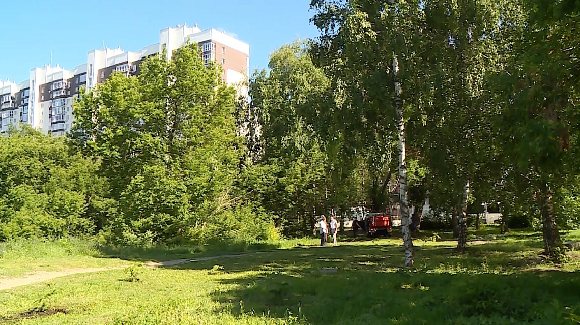 Сквер на улице Мира в направлении Ласточкиных гор преображается на глазах
