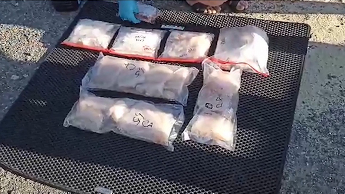 Пензенские полицейские пресекли схему поставок запрещенных веществ в Самарскую область и Республику Башкортостан