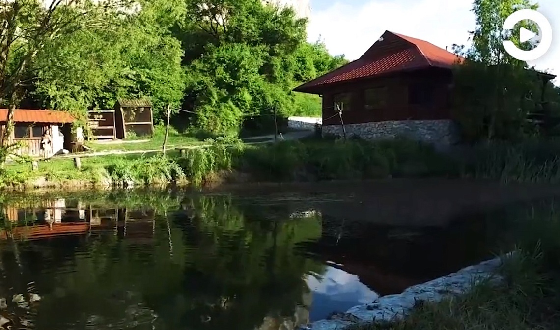 В Пензенской области появится экопоселение