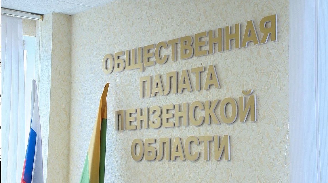 На заседании комиссии Общественной палаты Пензенской области обсудили предстоящие выборы